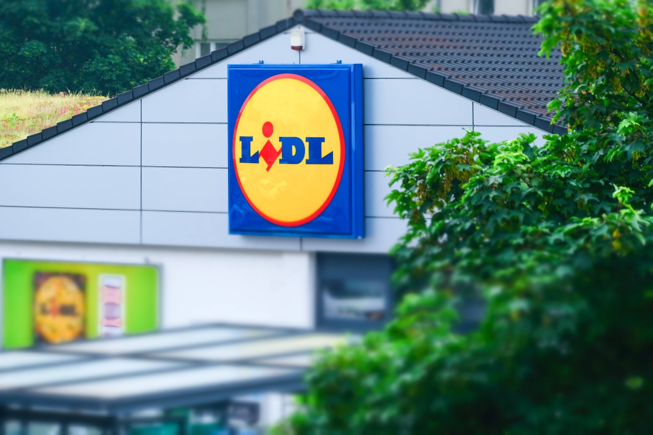 Ungewöhnliches Angebot bei Lidl! 