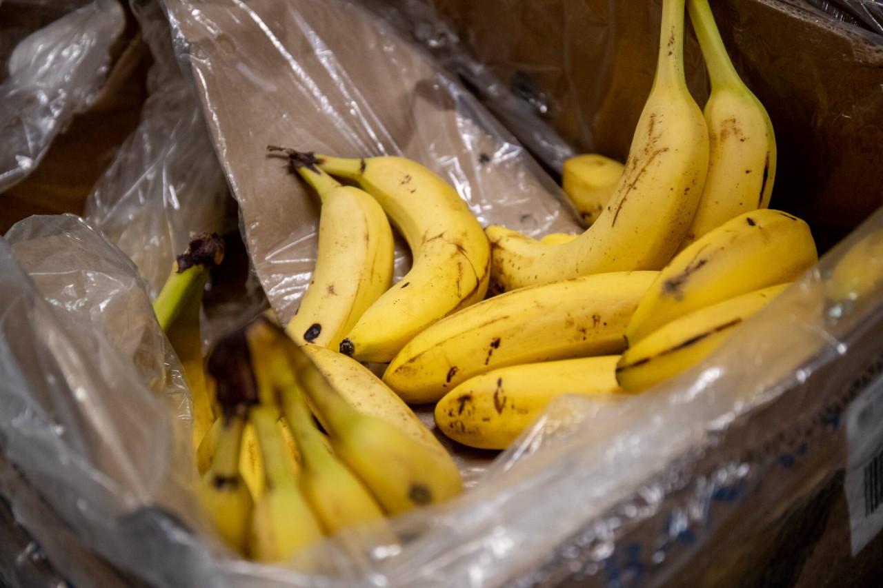 Lidl: Neue Schutzschicht soll Haltbarkeit von Bananen um eine Woche verlängern können. (Symbolbild)