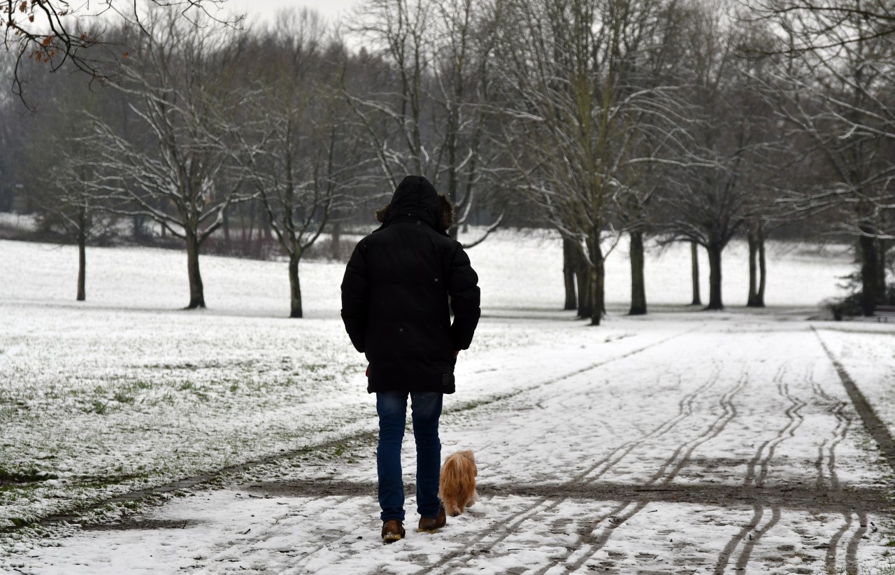 Ein gemütlicher Spaziergang mit einem kleinen Hund im Lohmühlenpark ist aus Sicht der Gelsenkirchenerin nicht möglich. (Archivbild)