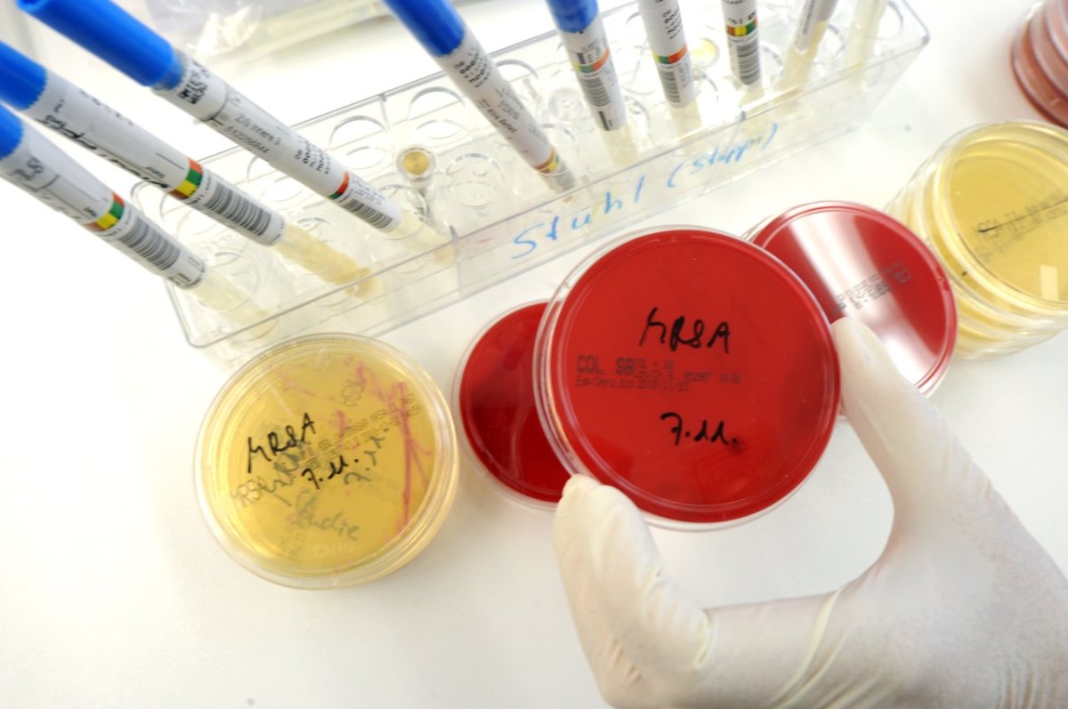 MRSA Keime.jpg