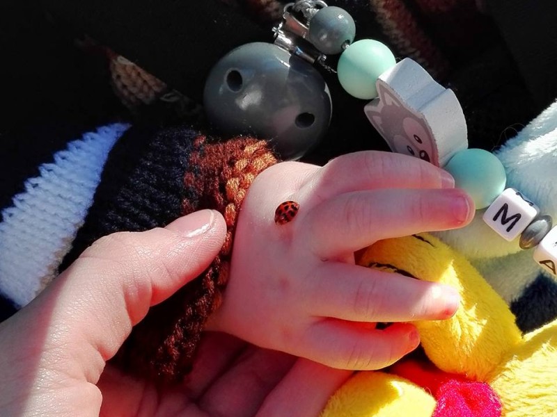 Das Baby von Mona Pß hat Spaß an diesem Marienkäfer. 