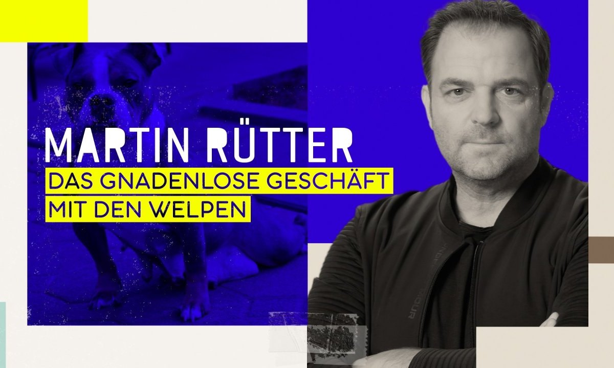 Martin Rütter.jpg