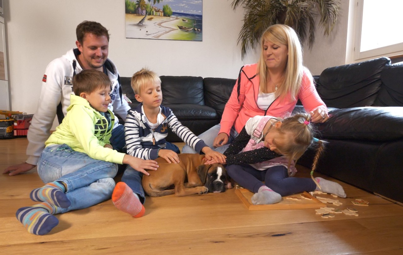 Familie Kretz musste Boxer-Welpe Mogli einschläfern.