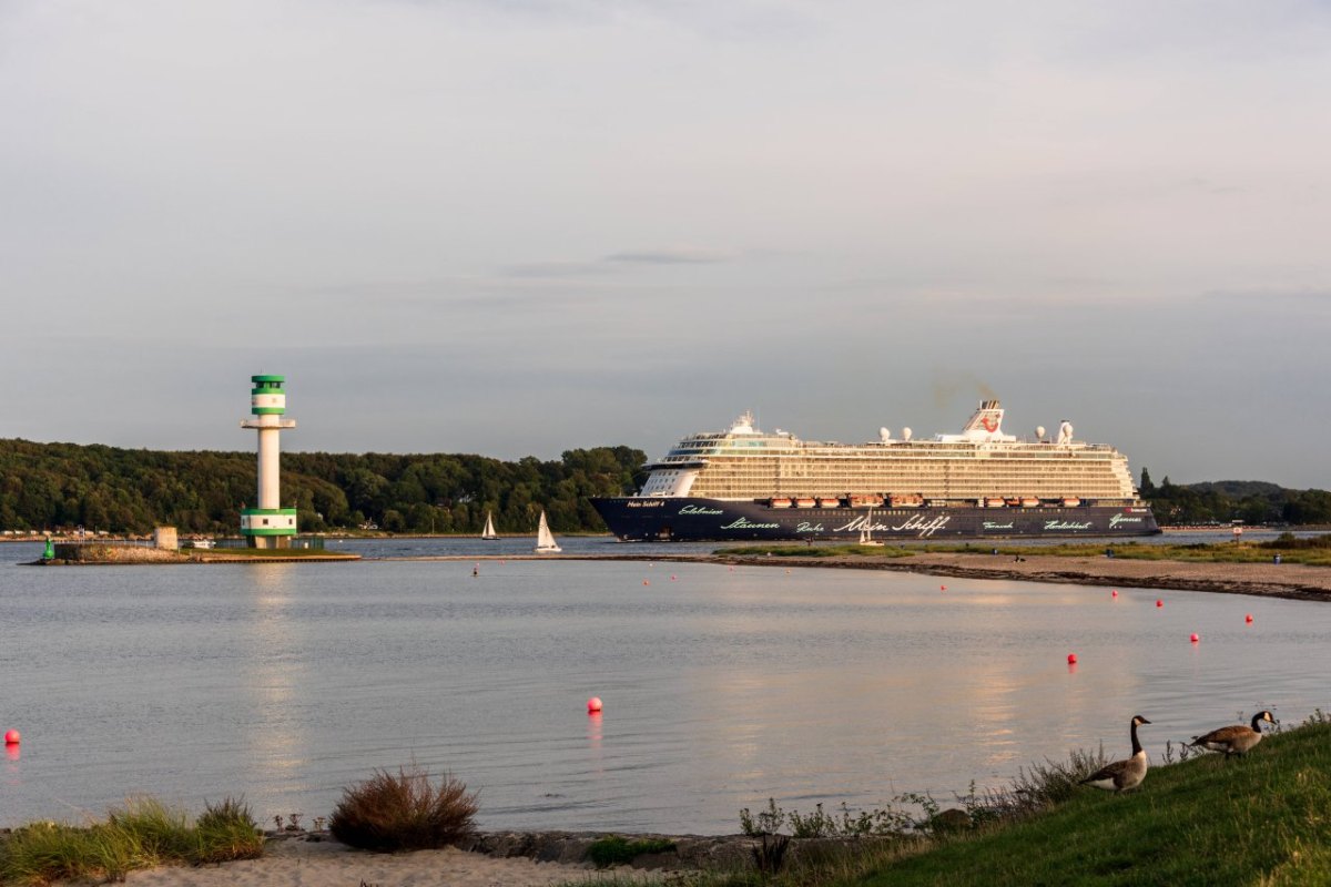 Mein Schiff Kreuzfahrt.jpg