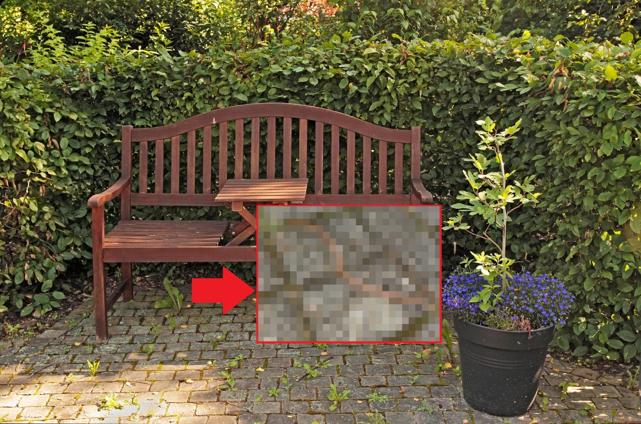 Mülheim: Ein Mann findet einen unbekannten Besucher in seinem Garten. (Symbolbild) 