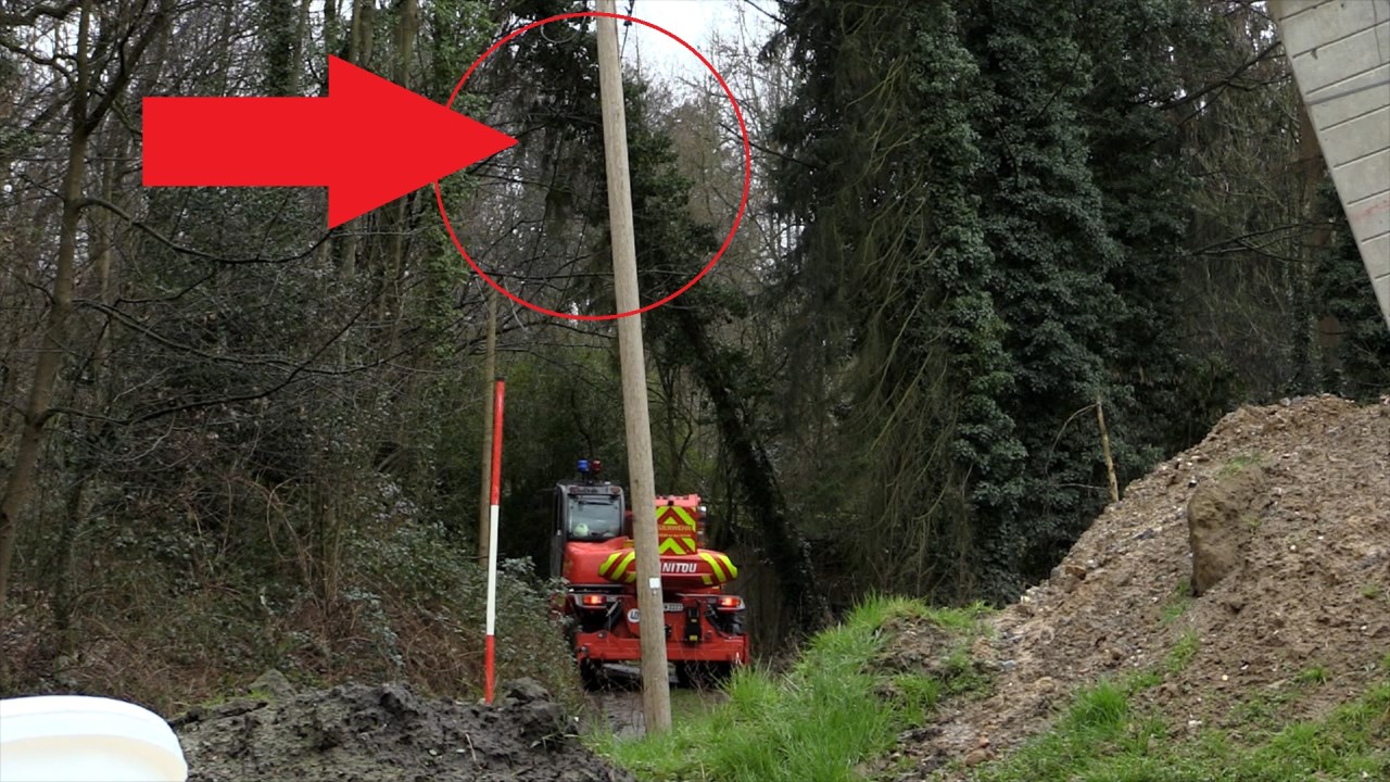 Die 15 Meter hohe Tanne liegt auf den Versorgungsleitung in Mülheim - Strom und Telefon drohen auszufallen.