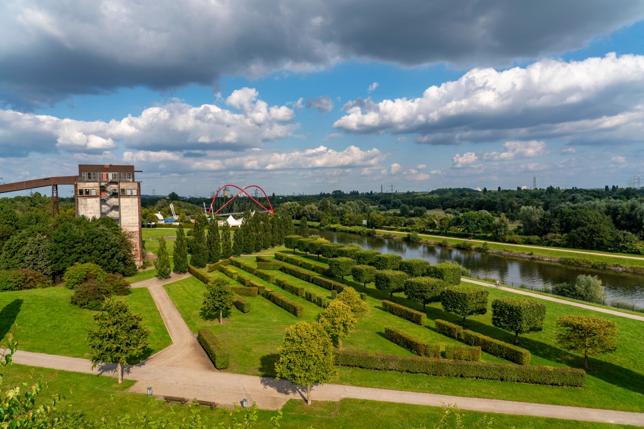 Wo viel Grün ist, sind auch viele Kaninchen unterwegs. Deshalb treibt's den ein oder anderen Jäger derzeit nach Gelsenkirchen in den Nordsternpark. (Archivbild)