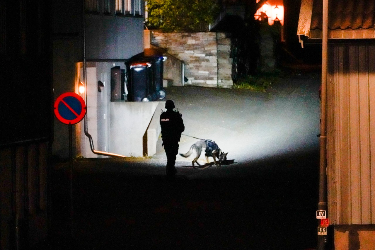 In Norwegen wurde mehrere Personen getötet und verletzt.