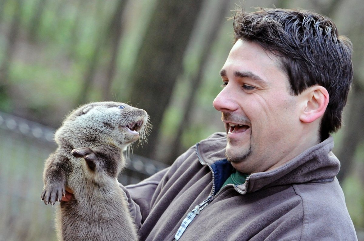 Otter_Jungtiere_Anholter_Schweiz_05.jpg