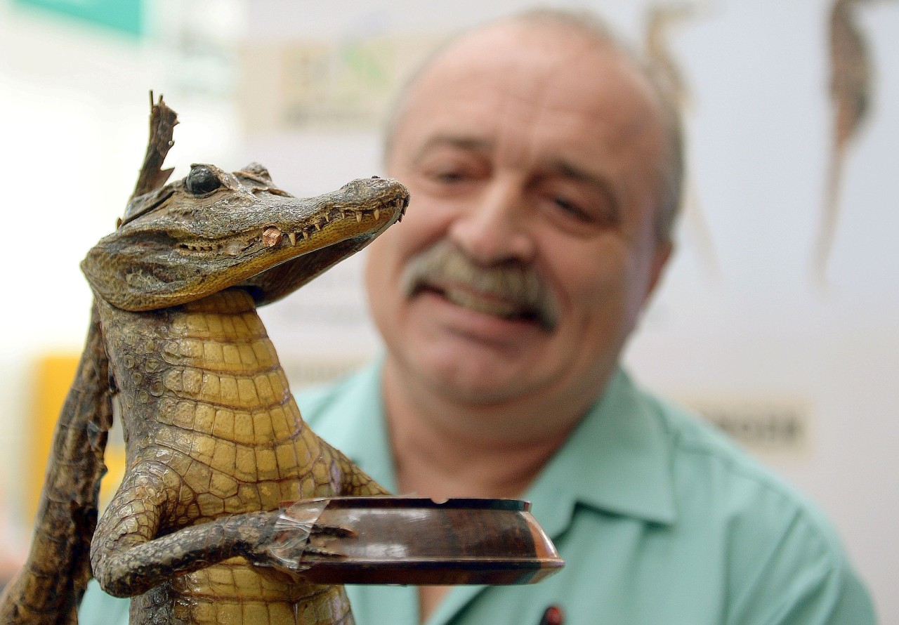 Zöllner Rainer Fenske mit einem „besonders schaurigen Exemplar“: ein Kaiman als Aschenbecher.