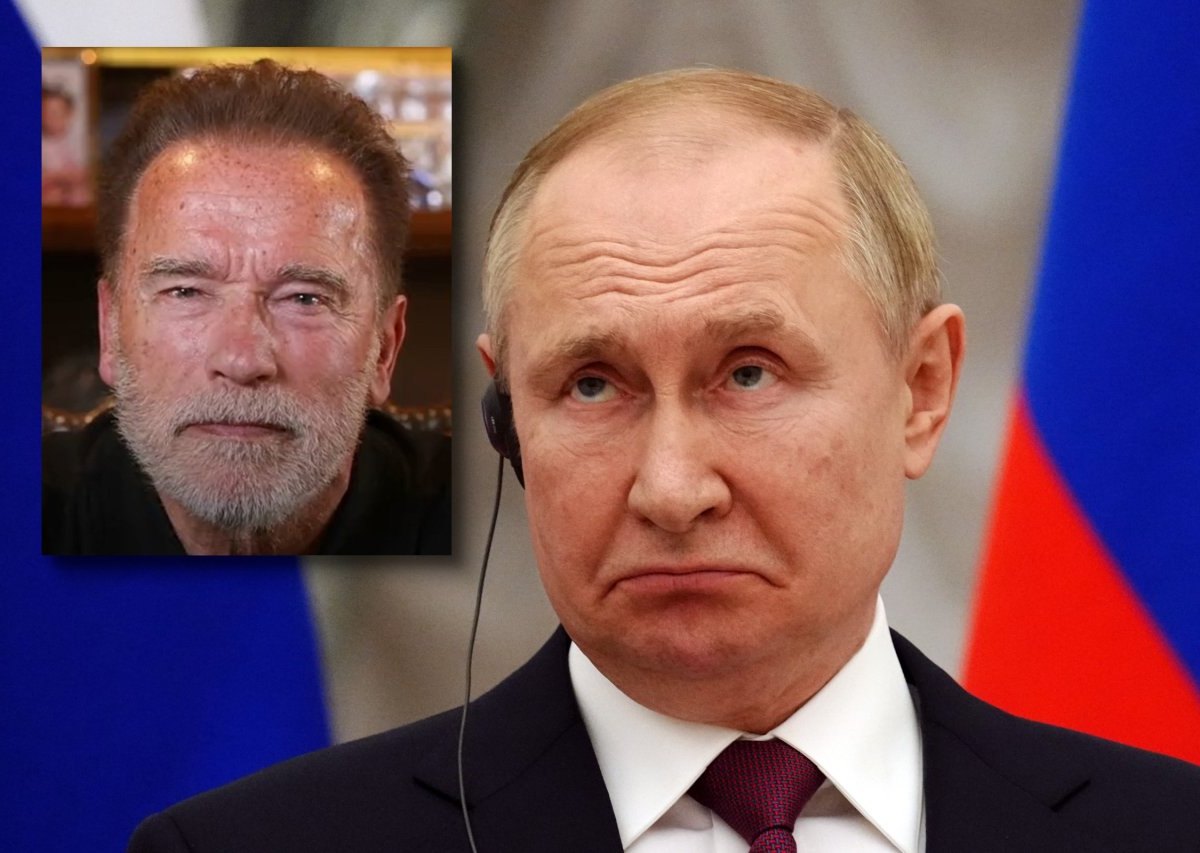 Putin Schwarzenegger