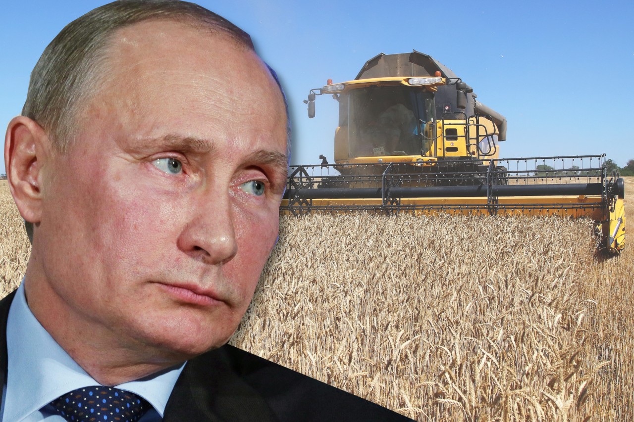 Wladimir Putin hat die Ukraine überfallen – das hat auch enorme Auswirkungen auf die Weizenpreise in Europa. 