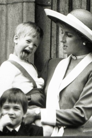 Am 21. Juni 1982 wurde der gemeinsame Sohn William geboren. Am 15. September 1984 kam Prinz Harry, den Diana auf dem Bild auf dem Arm hält Doch bereits in den späten 80er Jahren war die Ehe zwischen Prinz Charles und Diana zerbrochen. 1992 wurde ihre Trennung offiziell verkündet. Königin Elisabeth II. bezeichnete das Jahr als ein „annus horribilis“ – ein schreckliches Jahr.