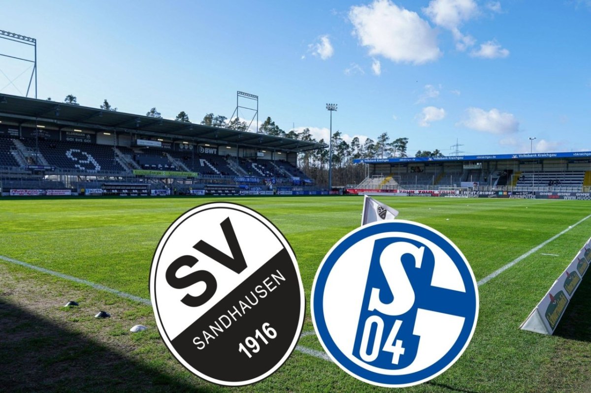 SV Sandhausen Schalke.jpg