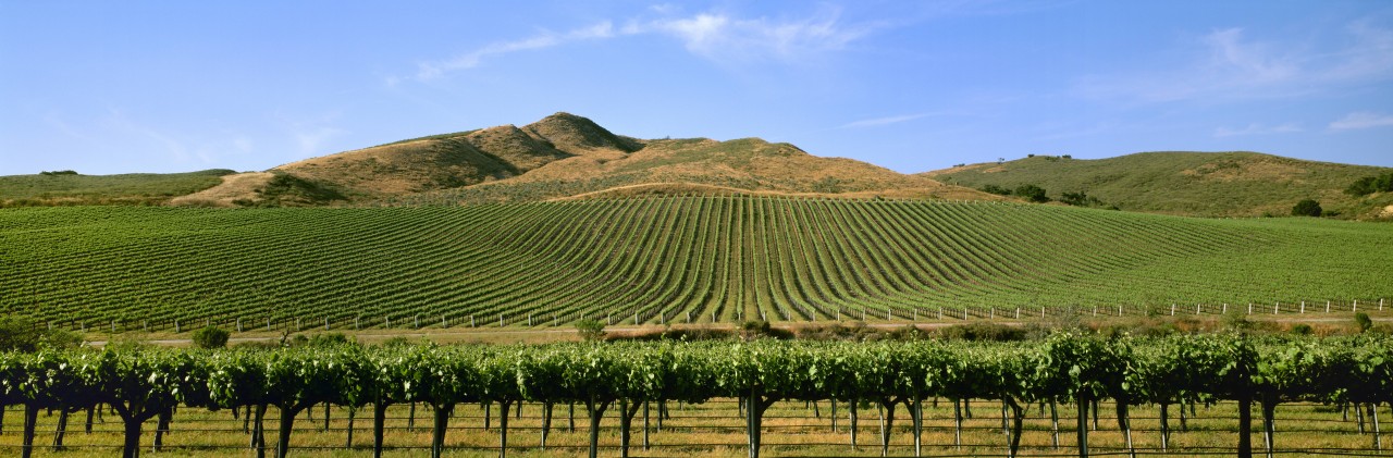 In Santa Barbara County befinden sich über 275 Weingüter. (Archivbild)