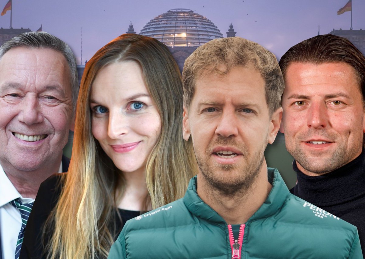 Stars_Bundestagswahl1.jpg