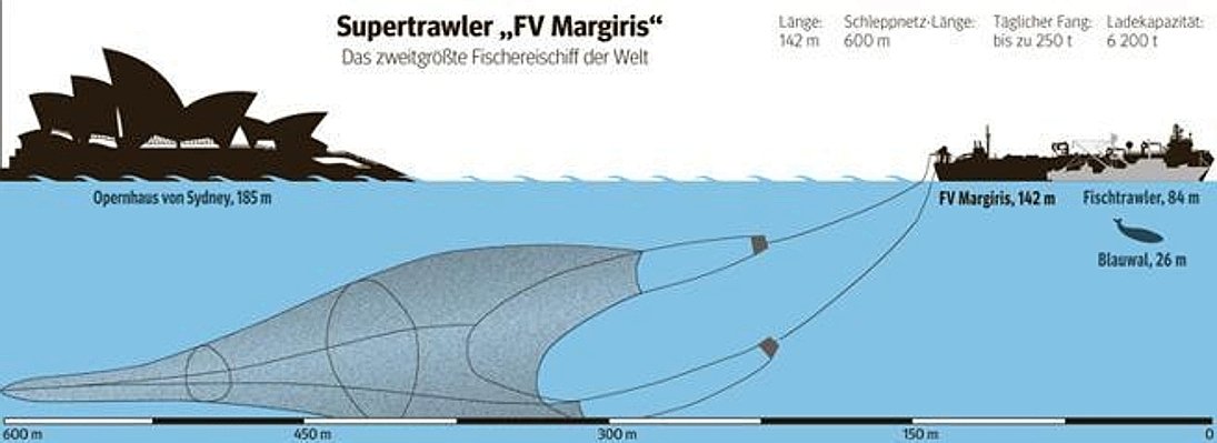Super Trawler Margiris Fischerboot--656x240.jpg