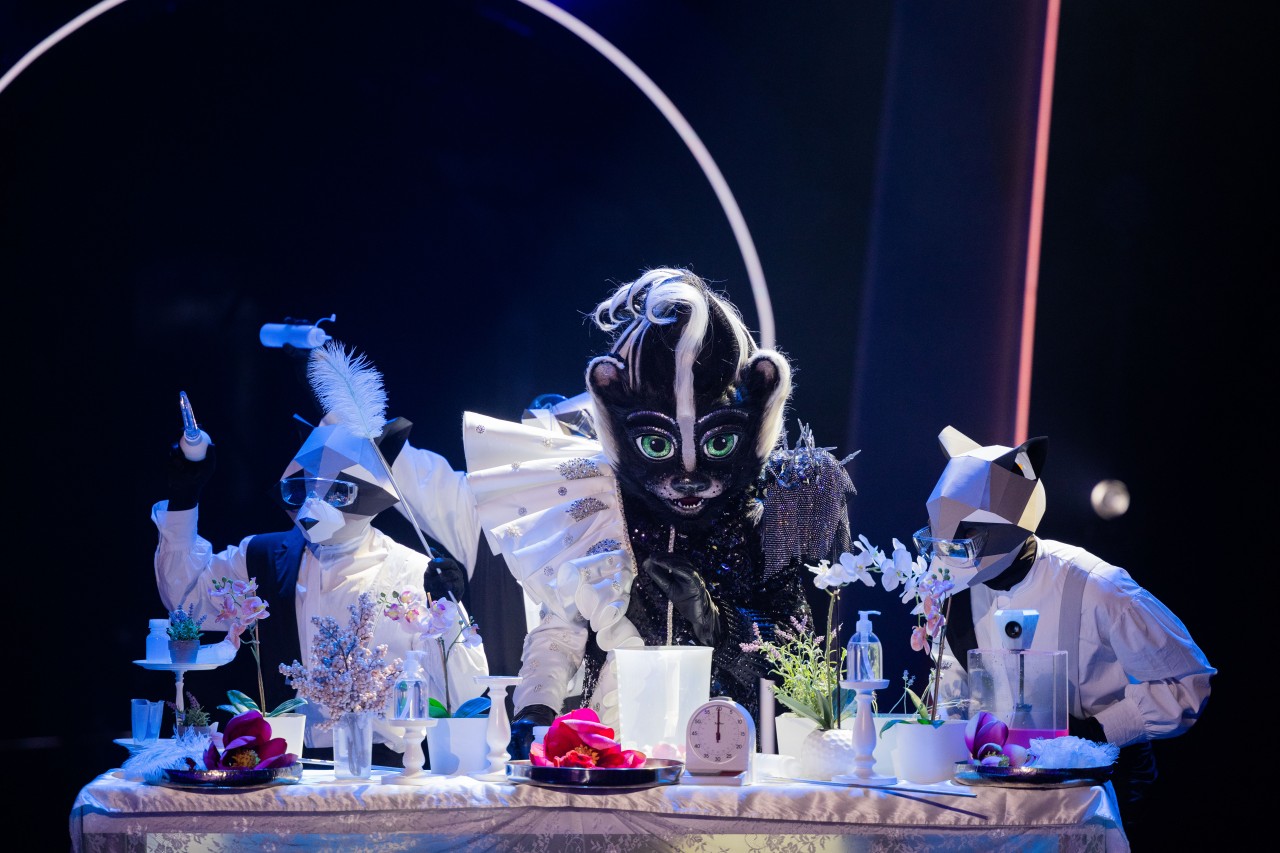 „Das Stinktier” ist einer der Kandidaten in der ProSieben-Show „The Masked Singer”.