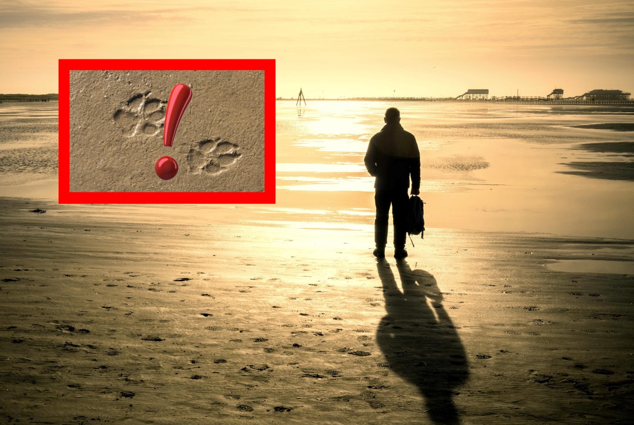 Ein Mann, der Urlaub an der Nordsee macht, entdeckt gruselige Abdrücke im Sand. Die stammen nicht von einem Hund. (Symbolbild)