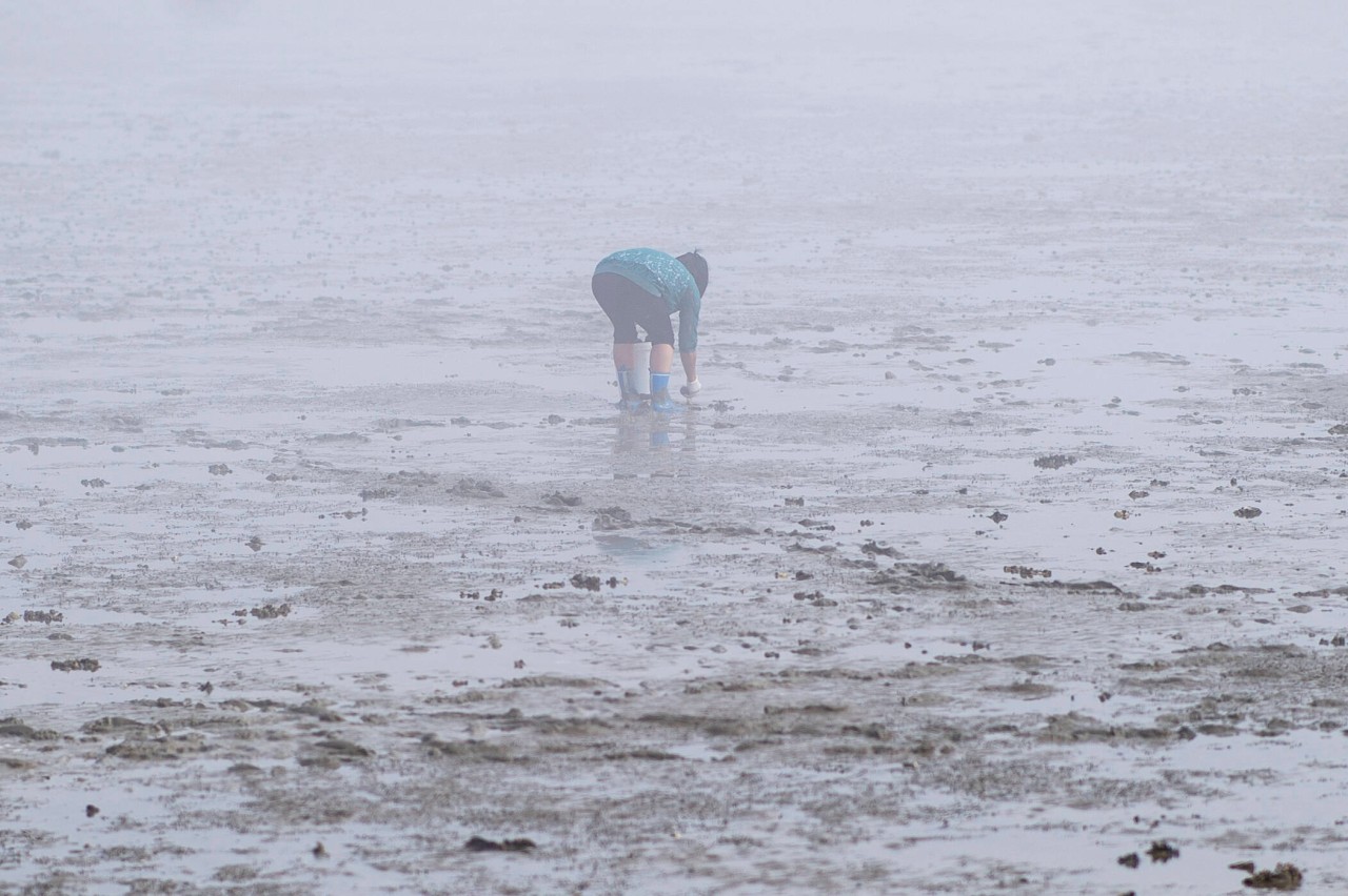 Urlaub an der Nordsee: Nebel kann an der See ganz schön gruselig sein.