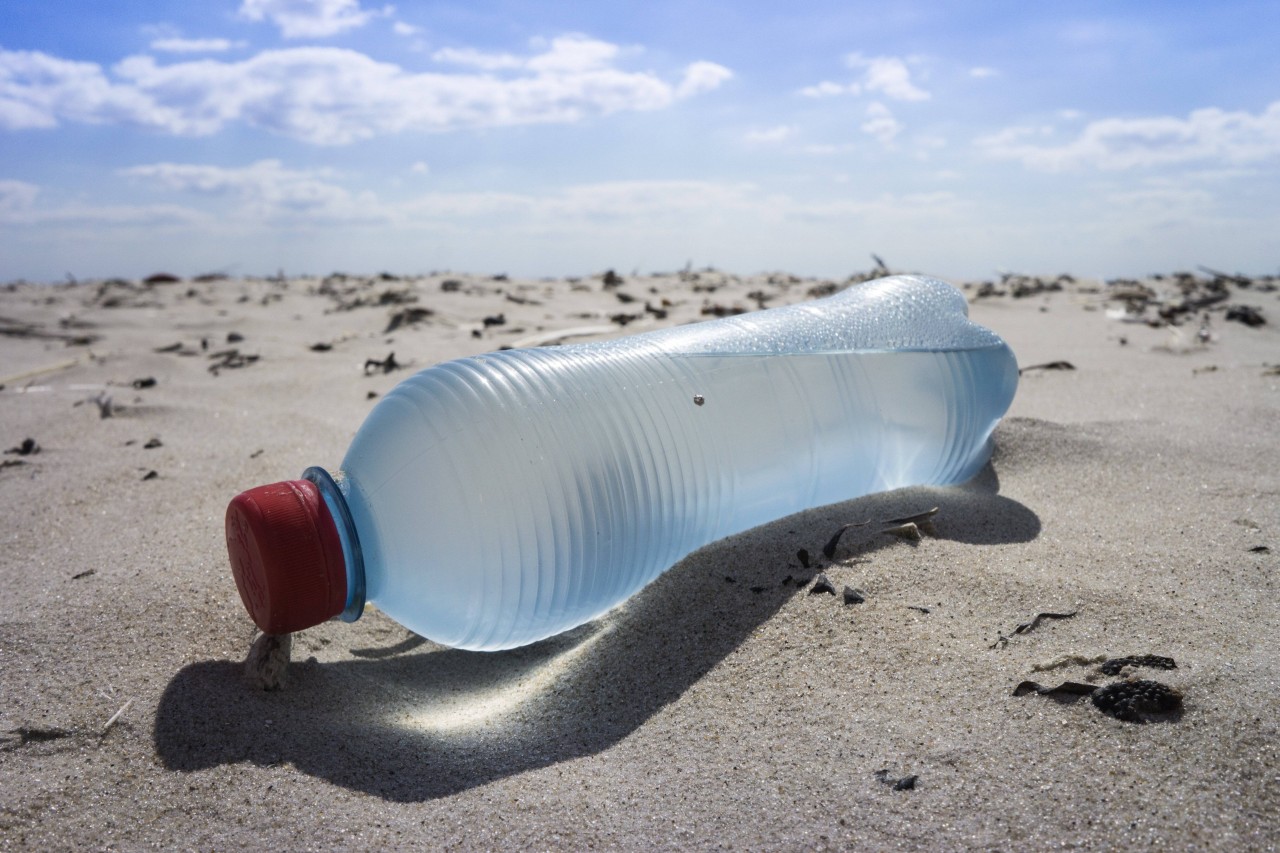Urlaub an der Nordsee: Eine Frau regte sich über Müll am Strand auf. (Symbolbild)