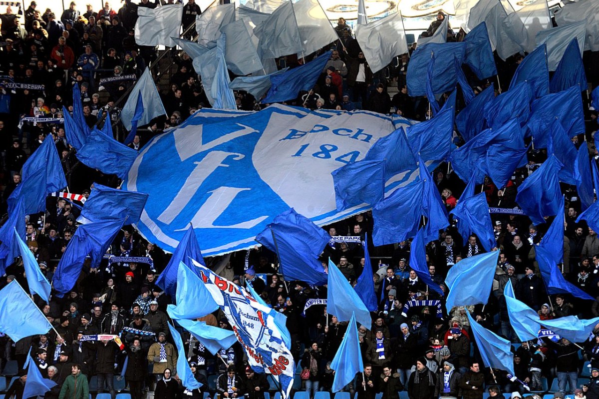 VfL-Bochum-Fans-2.jpg