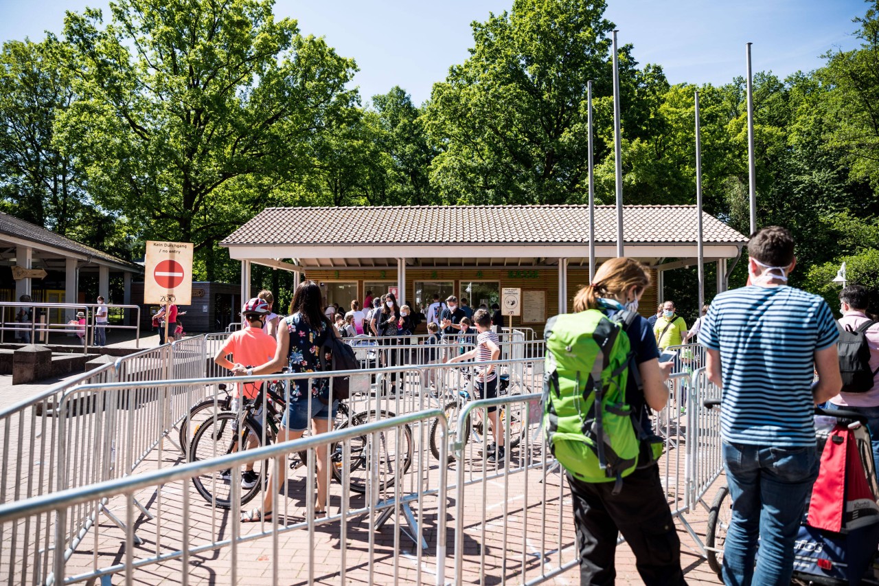 Bei diesen Neuigkeiten stehen die Besucher vorm Zoo Dortmund bestimmt wieder Schlange. (Symbolbild)