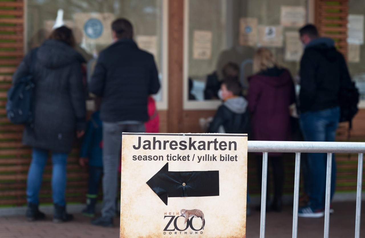 Der Zoo Dortmund amüsiert seine Fans mit einer lustigen Tier-Beobachtung. (Symbolbild)