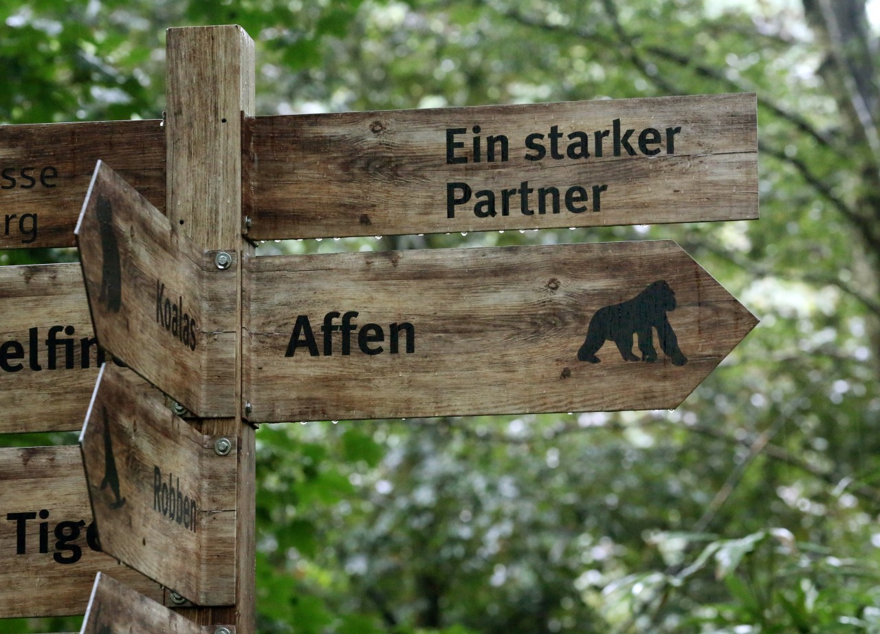 Wer den Zoo Duisburg erkunden möchte, muss aktuell die 2G-Regel erfüllen. (Symbolbild) 