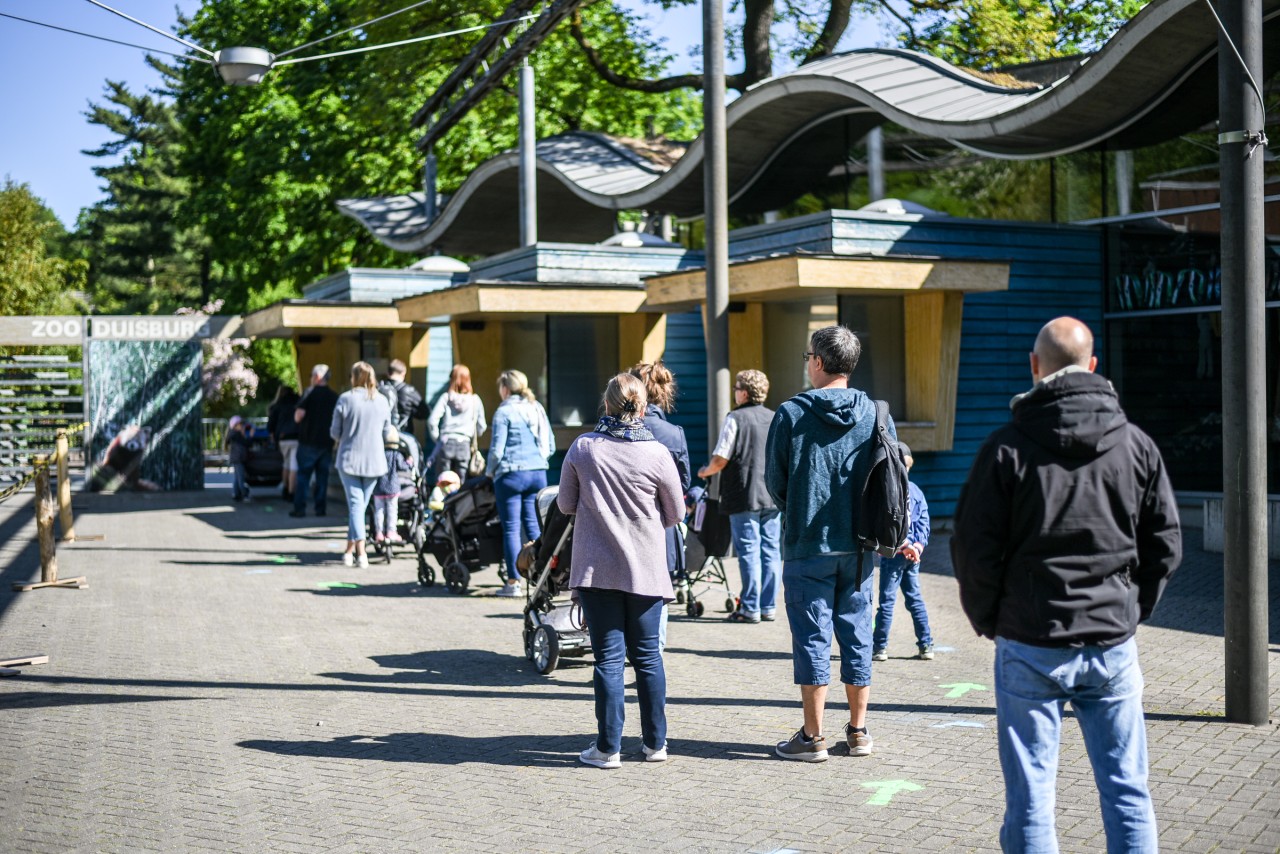 Zoo Duisburg: Diese Bilder sind nichts für schwache Nerven. (Symbolbild)