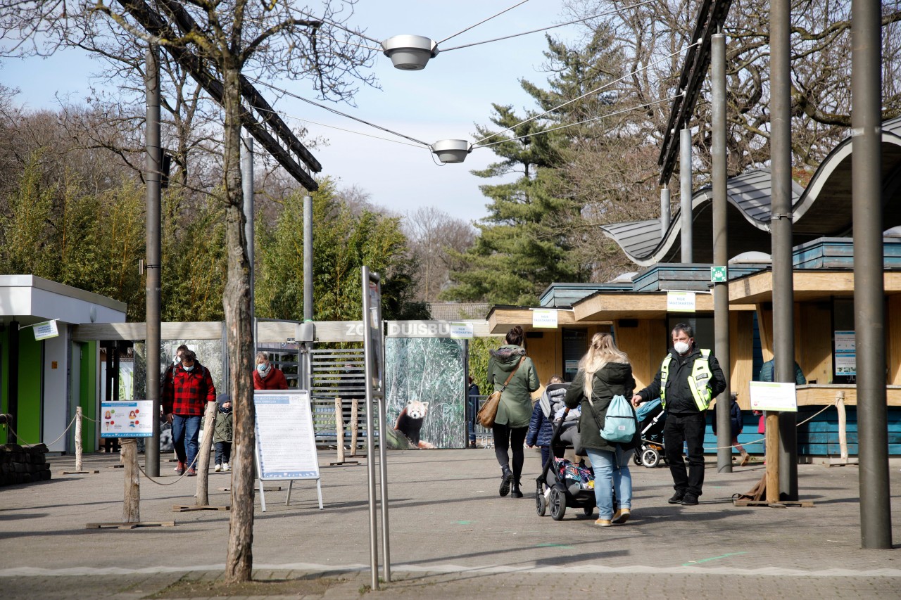 Zoo Duisburg: Besucher haben endlich wieder Zugang zu einer beliebten Attraktion. (Archivbild)