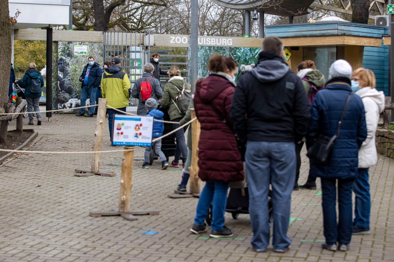 Es gibt Ausnahmen von der 2G-Regelung im Zoo Duisburg.