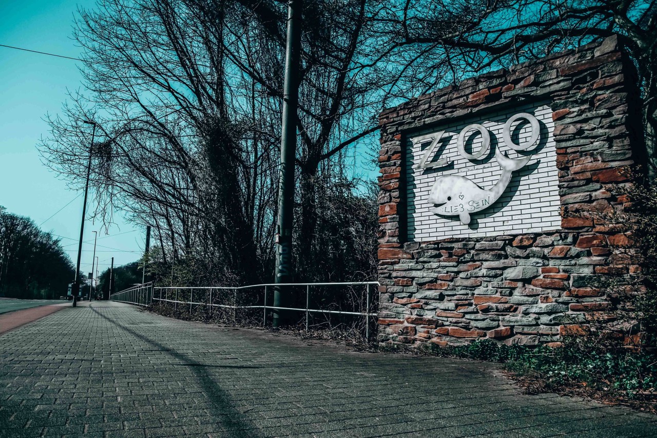Zoo Duisburg: Die Mitarbeiter sagen "Arrividerci"