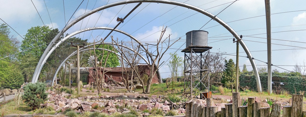 Seit dem 17. Mai ist die Outback-Voliere im Zoo Duisburg eröffnet.