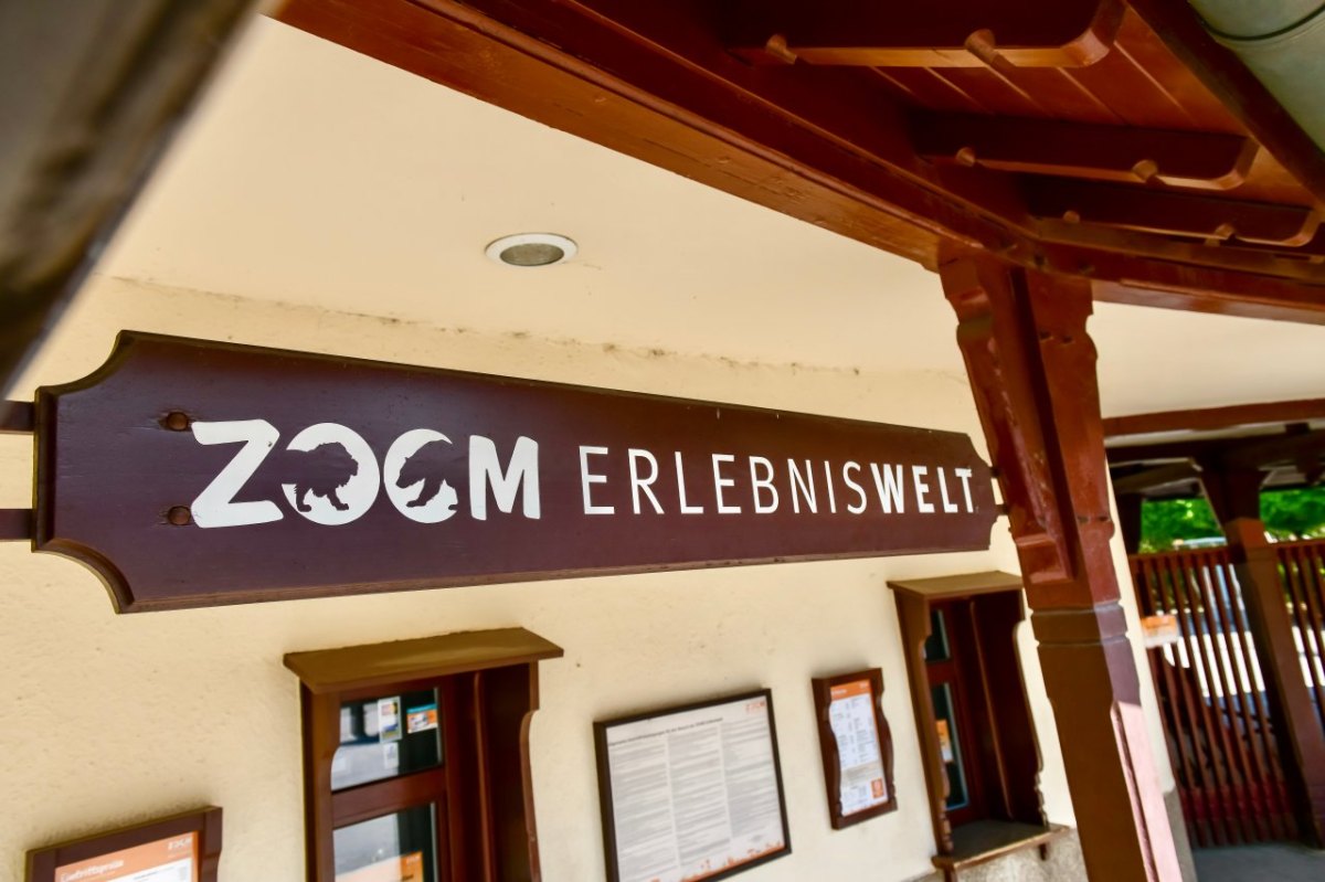 Zoom Gelsenkirchen tierpark elch