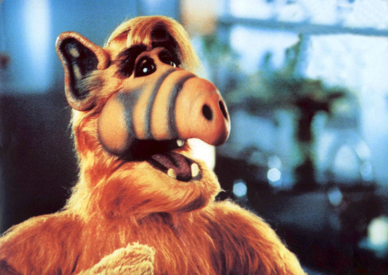 Zieht die Stimme von Alf ins Camp?