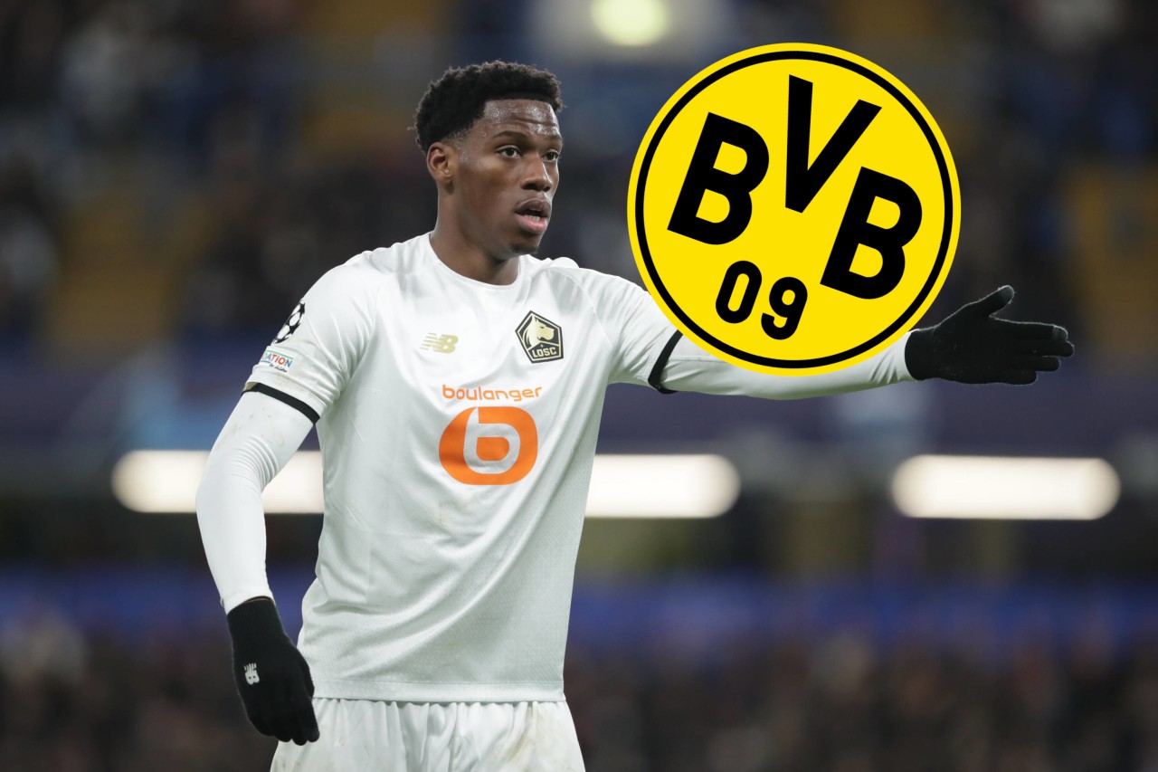 Holt Borussia Dortmund im Sommer womöglich Jonathan David vom OSC Lille?