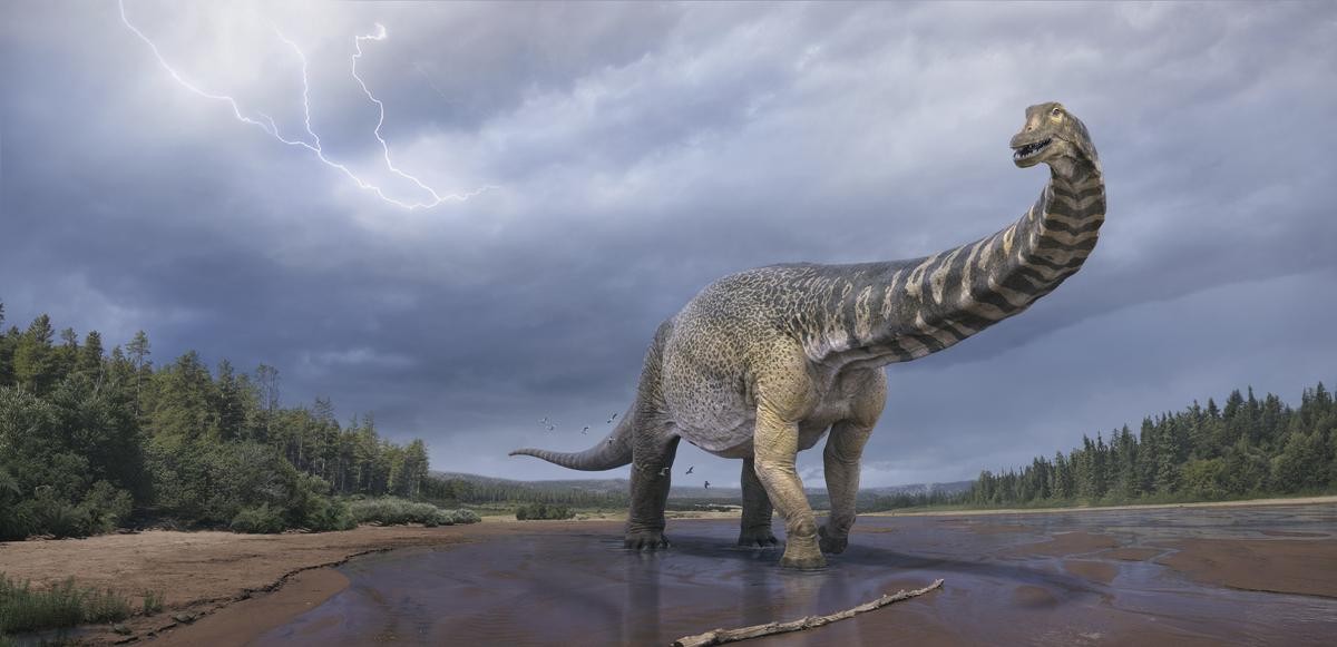 So könnte der neu entdeckte Riesen-Dino ausgesehen haben. 