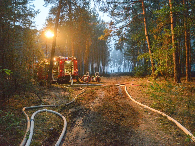 Feuerwehrleute bekämpfen Brände im Wald.