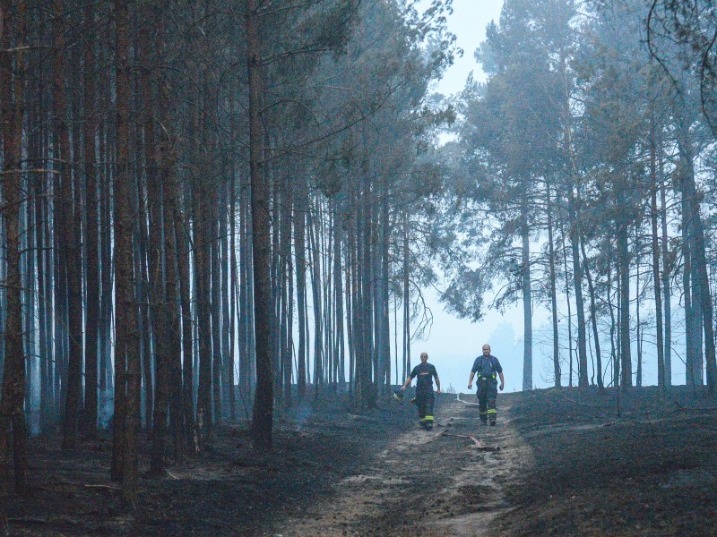 Feuerwehrleute gehen durch den abgebrannten Wald bei Treuenbrietzen. 