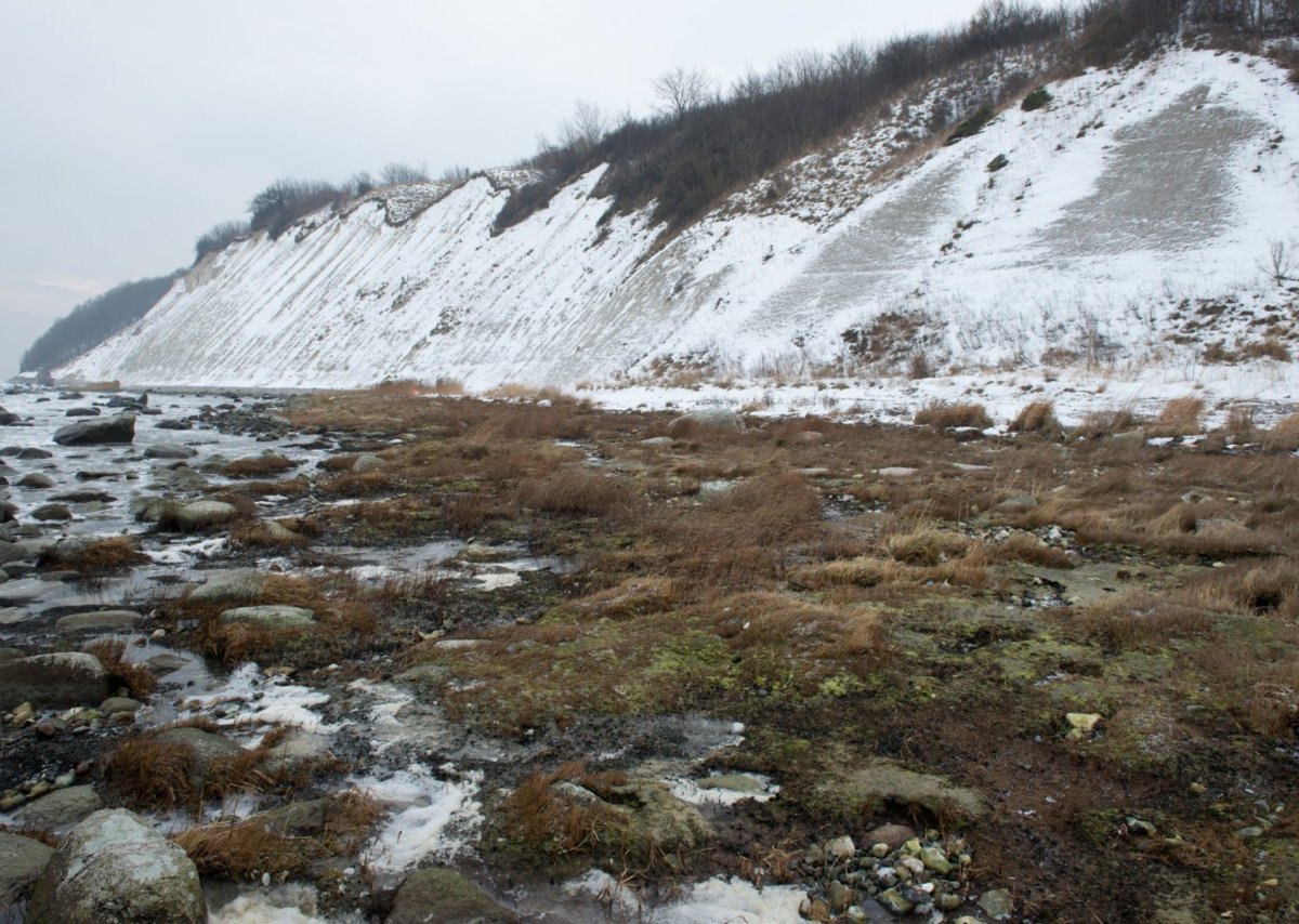 dpa_14832400B9FF686C.jpg