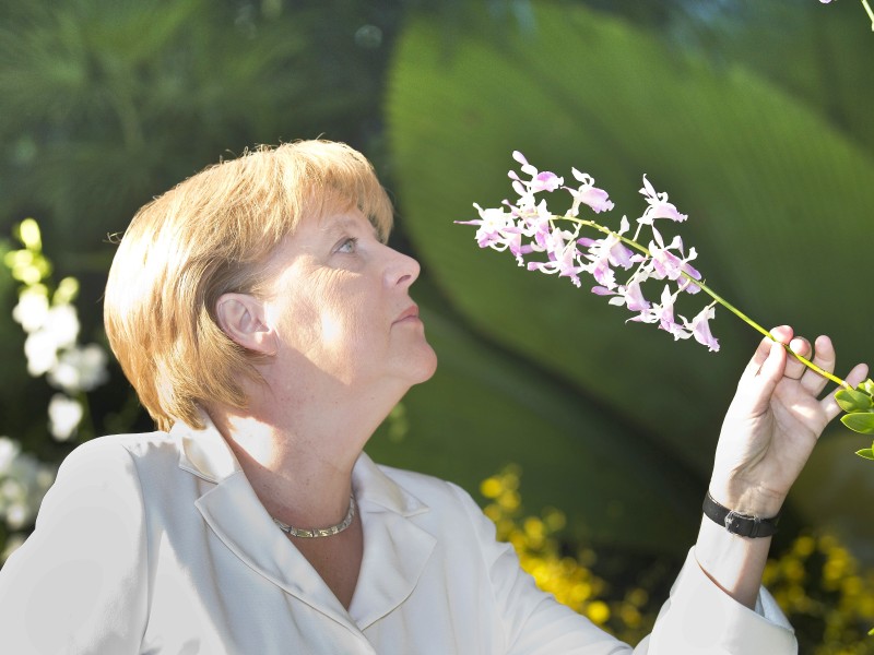 Bundeskanzlerin Angela Merkel scheint zu gefallen, dass eine Orchideenart nach ihr benannt wurde: „Dendrobium Angela Merkel. 