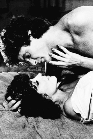 Im Jahr 1985 küsste er „Denver Clan“-Biest Joan Collins im Film „The Cartier Affair“. 
