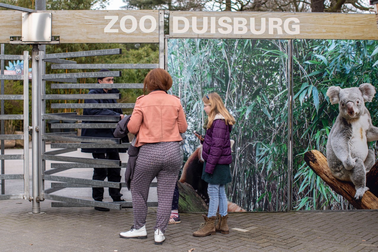 Duisburg: Wegen steigender Inzidenzwerte hat der Zoo jetzt schlechte Nachrichten für seine Besucher. (Archivbild)