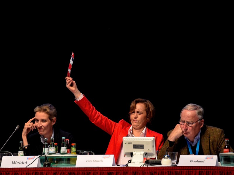 Die zwei Spitzenkandidaten und die stellvertretende Bundesvorsitzende der AfD, Beatrix von Storch. 