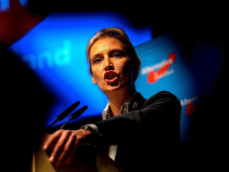 Im April 2017 wurde Weidel auf dem AfD-Bundesparteitag in Köln mit 67,7 Prozent der Stimmen zur Spitzenkandidatin gewählt. Gemeinsam mit dem stellvertretenden Parteivorsitzenden Gauland bildet sie die Parteispitze.