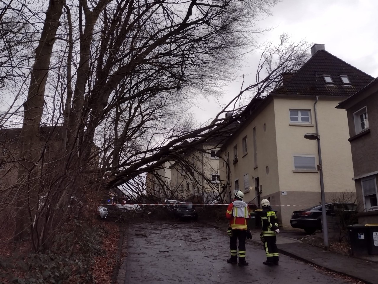 In Mülheim sind mehrere Bäume auf ein Mehrfamilienhaus gekracht. Glücklicherweise wurde niemand verletzt. 