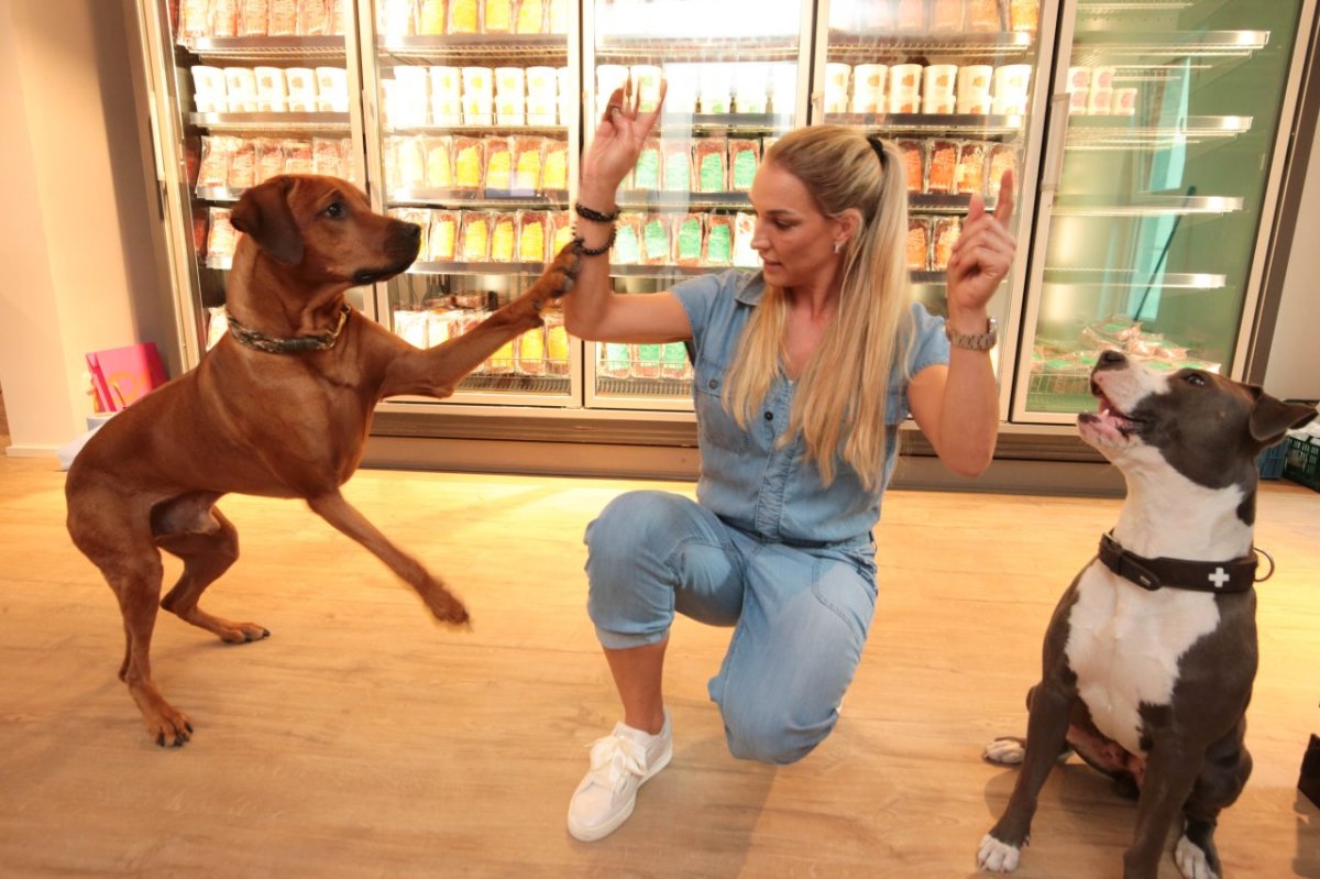 hunde-supermarkt-essen.JPG