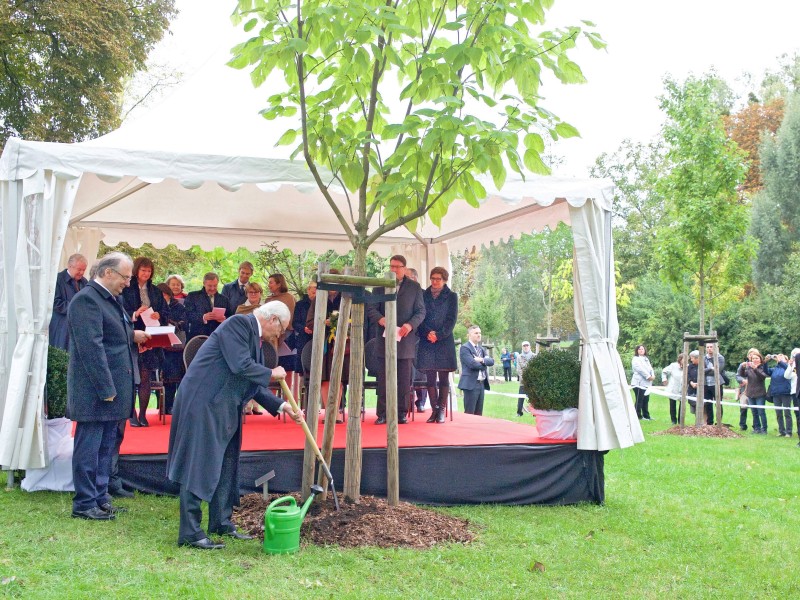 Das Königspaar hat im Wittenberger Luthergarten symbolisch einen Trompetenbaum gepflanzt.