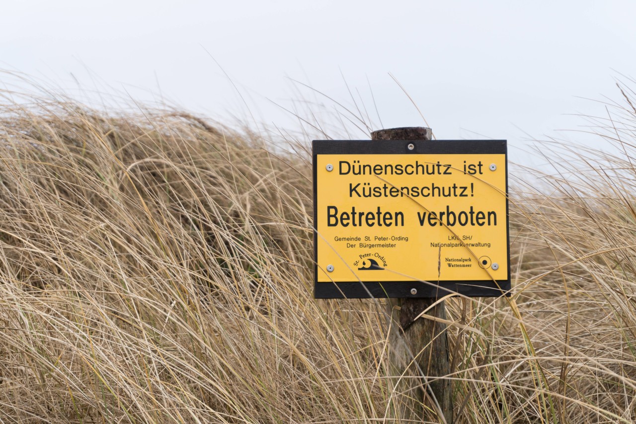 Das Betreten der Dünen ist verboten - doch zahlreiche Menschen halten sich nicht daran. 